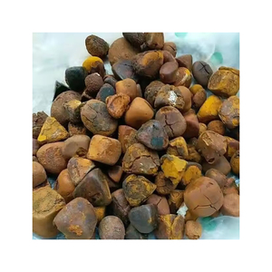Cálculos biliares de buey a precio de fábrica suministrados a granel para venta minorista y comercio - Product Image 4