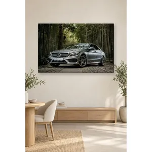 Impression sur toile Fida Silver Mercedes Classe C dans un décor de forêt de bambou - Product Image 5