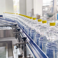 Machine automatique de remplissage et de bouchage de bouteilles de boissons gazeuses, d'eau, de bière, de fûts