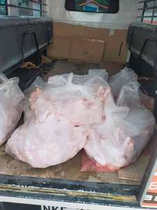 สะโพกไก่แช่แข็งฮาลาล สแตนเลส คุณภาพพรีเมียม - Product Image 3