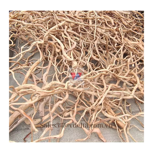 Madera Flotante de Coral de Vietnam, Superventas// Madera Flotante para Hábitats de Mascotas - Product Image 4