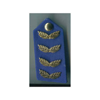 Écussons de col de général de l'Armée aérienne soviétique pour uniforme de cérémonie, écussons de col de gorget pour uniforme de cérémonie, brodés à la main en fil de laine, tissu écologique