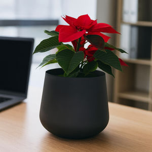 Elegant <b>Aluminum</b> Planter with matte black <b>powder</b> coat finish Modern Decor for Home & Office set of 3 - Product Image 4