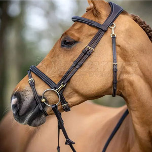 Bride de cheval de conception professionnelle construite résistante pour la bride de cheval d'aventures d'équitation en plein air - Product Image 6
