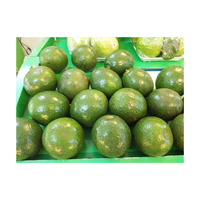 Verse Hass Avocado Fruit Vietnam Leverancier Export Kwaliteit Verpakt In 10Kg Kartonnen Doos Geschikt Voor Sandwich Smoothie Koken