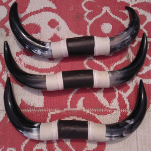 Natural Animal Style Drinking Horn <b>Set</b> Nautical Home Wall Decor Pair Horns From India - Product Image 1