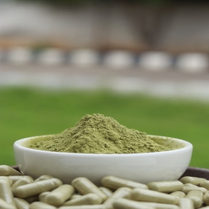 Capsules de Neem à base de plantes, fabriquées à partir de poudre de feuilles de Neem propres, adaptées à un usage général et aux formulations de capsules à base de plantes - Product Image 1