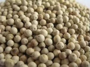 Semillas de pimienta blanca de alta calidad, variedad de exportación cruda, excelentes especias secas y hierbas, producto a buen precio, semillas de pimienta blanca - Product Image 5