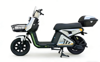 Vélo Électrique Adulte CCT 02 Iron Man 500W avec Moteur Sans Balais en Cuivre Pur, Pneus Tubeless 14x2.75, Écran LCD et Système Antivol Électronique pour la Ville