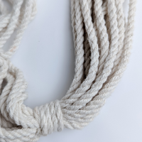 Porte-pot suspendu en macramé fait à la main pour décoration de maison et de jardin
