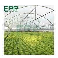 Serres multi-chapelles en film plastique souple PE EPP Vietnam pour légumes, fruits, fleurs, système hydroponique, viande, œufs et aliments pour animaux