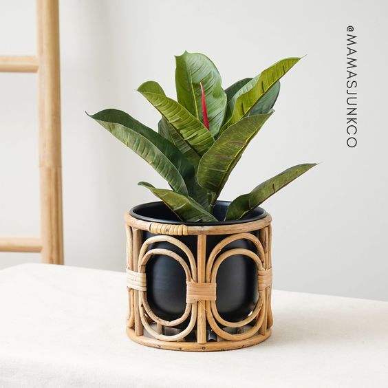 ธรรมชาติ