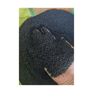 BOISSONS BASILIC SUCRÉ-OCIMUM BASILICUM BOLD DU VIETNAM/Ingrédient de graine de basilic noir au meilleur prix - Product Image 1