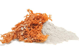 Polvo orgánico de musgo marino de alta calidad al por mayor/polvo de carragenina para gelatina // Shyn Tran - Product Image 5