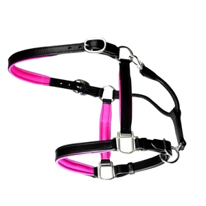 <b>Halter</b> Supper Quality Genuine Leather Horse <b>Halter</b> with Pink Soft Neoprene Padded Nose Band and Neck Band - Product Image 6