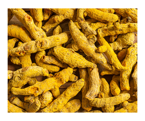 Dedo de cúrcuma amarillo Premium de la mejor calidad de VN seco entero crudo 100% puro natural precio bajo - Product Image 5