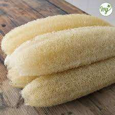 Esponjas de lufa a granel: 100% naturales, ecológicas y suaves para la piel - Product Image 3