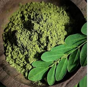 Reliable Supplier's Top Selling Food Grade Moringa Leaves Powder in <b>Bulk</b> Wild Cultivated 100% Pure Organic Moringa powder <b>Water</b> - Product Image 2