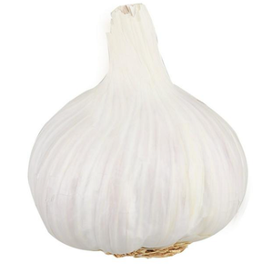 Ajo fresco de alta calidad 6,0 cm Venta al por mayor de alto fabricante nuevo mejor material con tarifa barata - Product Image 5
