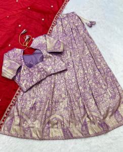 Hermoso tejido con bordado y trabajo de tejido Lehenga Choli Fabricante y proveedor de Surat - Product Image 3