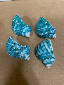 Servilletero de concha Multicolor creativo, hermoso diseño hecho a mano, artesanía de concha de mar Natural pulida de 99D - Product Image 5