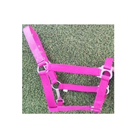 Licol en corde solide et réglable en cuir et corde licol de cheval Durable et saisonnier équipement de cheval personnalisé