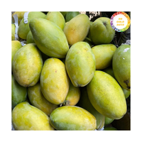 Verse Mango Vietnam Geteeld Rijp Mango Fruit, Perfect Voor Het Snijden Van Sap En Het Toevoegen Aan Een Verscheidenheid Aan Voedselproductie