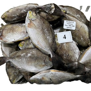 Produits de la mer surgelés IQF : Lapin entier et poisson, emballés sous vide, qualité export en vrac - Product Image 6