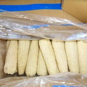 ข้าวโพดแช่แข็งพรีเมี่ยม | อุปทานที่ยั่งยืน | อายุการเก็บรักษานาน - Product Image 1