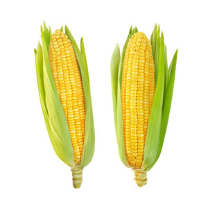 เมล็ดข้าวโพดออร์แกนิคสีเหลืองสดแบบพรีเมียมถุงขนาดใหญ่50กก. เกรดอาหารสัตว์ที่ไม่ใช่จีเอ็มโอ - Product Image 3