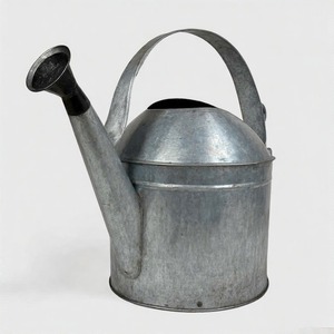 บัวรดน้ำโลหะกัลวาไนซ์สไตล์วินเทจพร้อมพวยยาวและสวนสวยแบบชนบทสำหรับใช้ในร่มและกลางแจ้ง - Product Image 1