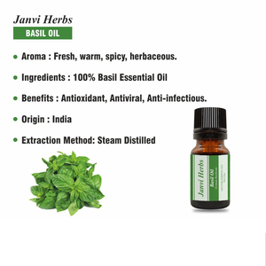 น้ำมันหอมระเหยใบโหระพาธรรมชาติบริสุทธิ์100% กลิ่นหอมสดชื่นสำหรับน้ำมันนวดตัวผลิตจากเปลือกธรรมชาติ - Product Image 5