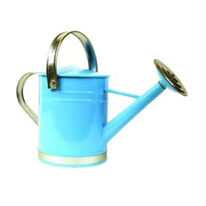 Arrosoir pour fleurs et plantes Base en fer Bidon d'eau galvanisé de la meilleure qualité du fabricant et des fournisseurs - Product Image 4