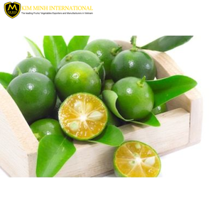 Calamansi congelés IQF fruits du Vietnam Lime-Type en vrac emballé sous vide - Product Image 1