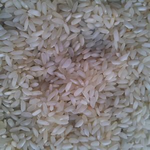Arroz Blanco Turco Orgánico Baldo Mediano, Vida Útil de 2 Años, Envases de 1 kg / 5 kg / 10 kg / 25 kg / 50 kg - Product Image 1
