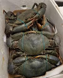 Cangrejos de Barro Enteros Frescos Congelados de Calidad Disponibles en Austria - Product Image 2