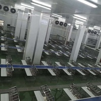Machine d'abattage de poulet en acier, ligne, convoyeur de traitement de la viande