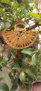 ตะกร้าไม้ไผ่แบบ2024สำหรับผู้หญิงตะกร้าใส่ของแบบเวียดนามสำหรับฤดูร้อน - Product Image 3