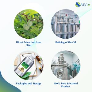 Custard Apple Oil 100% puro y natural al por mayor a granel precio más bajo embalaje personalizado - Product Image 4