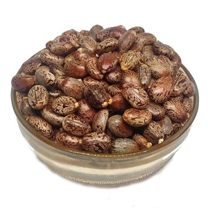 El precio más barato, proveedor de semillas de ricino orgánicas secas a granel con entrega rápida - Product Image 4