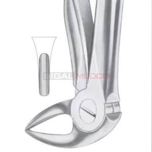 Fig. 33B Forceps d'extraction de dents de différentes tailles pour racines inférieures Instruments médicaux dentaires Prix de gros Fournisseur en gros - Product Image 5