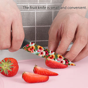 Juego de Cuchillos de Chef Profesionales de Cerámica con Mangos de Plástico, Alta Calidad, 4 Piezas, para Uso en Cocina Comercial, Entrega Rápida - Product Image 6