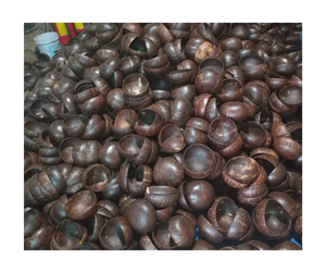 Bols en noix de coco gravés à la main Bols en noix de coco en bambou naturel de haute qualité Fournisseur en gros d'exportation du Vietnam - Product Image 1