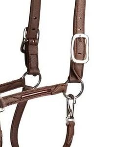 DIRECT DE L'USINE CHEVAL COLLIER CUIR DOUX RÉGLABLE CUIR VÉRITABLE CHEVAL COLLIER QUINCAILLERIE ACIER INOXYDABLE - Product Image 5