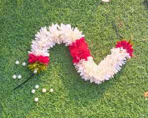 Fleur de jasmin Gajra Veni faveur de mariage indien Nikah Jasmine Bun accessoire Mogra bijoux de cheveux Mehndi Haldi demoiselles d'honneur cadeau - Product Image 5