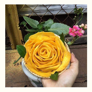 Mango seco Venta al por mayor global Mango seco a granel Premium Sabor naturalmente dulce Perfecto para minoristas y comercio de alimentos en todo el mundo - Product Image 2