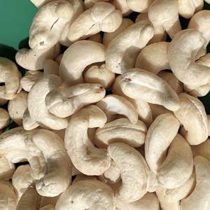 Gran oferta 2025 anacardos crudos de Vietnam anacardos W180 anacardos Ww320 Ww240 listos para enviar - Product Image 1