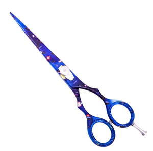 Tijeras de corte de pelo de peluquero profesional Tijeras de pelo de hoja de acero inoxidable - Product Image 1