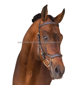 Micrófono de caballo de alta calidad, multibrida sin costuras - Product Image 1