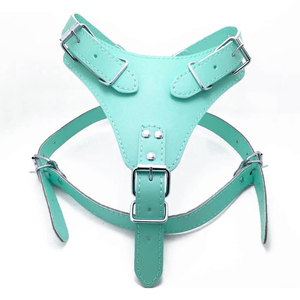 Arnés ligero y cómodo para perros, personalizado, transpirable, con patrón sólido de cuero para un estilo sencillo extra fuerte, novedad - Product Image 4